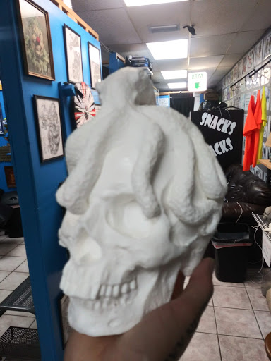 Tattoo Shop «Memory Lane Tattoo Co.», reviews and photos, 7816 Cortez Rd W, Bradenton, FL 34210, USA