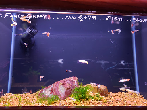 Pet Store «Wet Pets And Friends», reviews and photos, 3695 Washington Rd, Canonsburg, PA 15317, USA