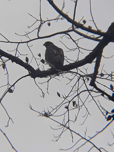 Park «Jones Bridge Park», reviews and photos, 4901 E Jones Bridge Rd, Peachtree Corners, GA 30092, USA