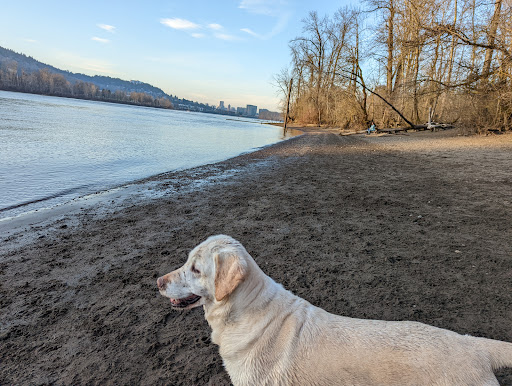 Park «Sellwood Riverfront Park», reviews and photos, SE Oaks Park Way, Portland, OR 97202, USA