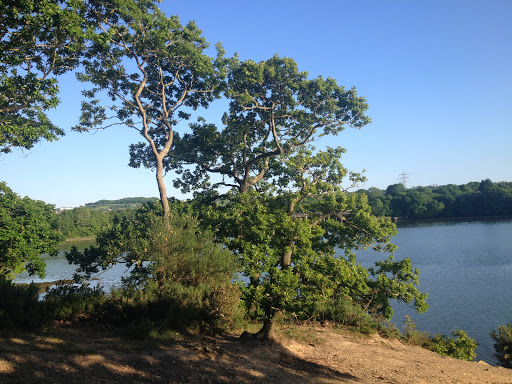 Warleigh Point Nature Reserve