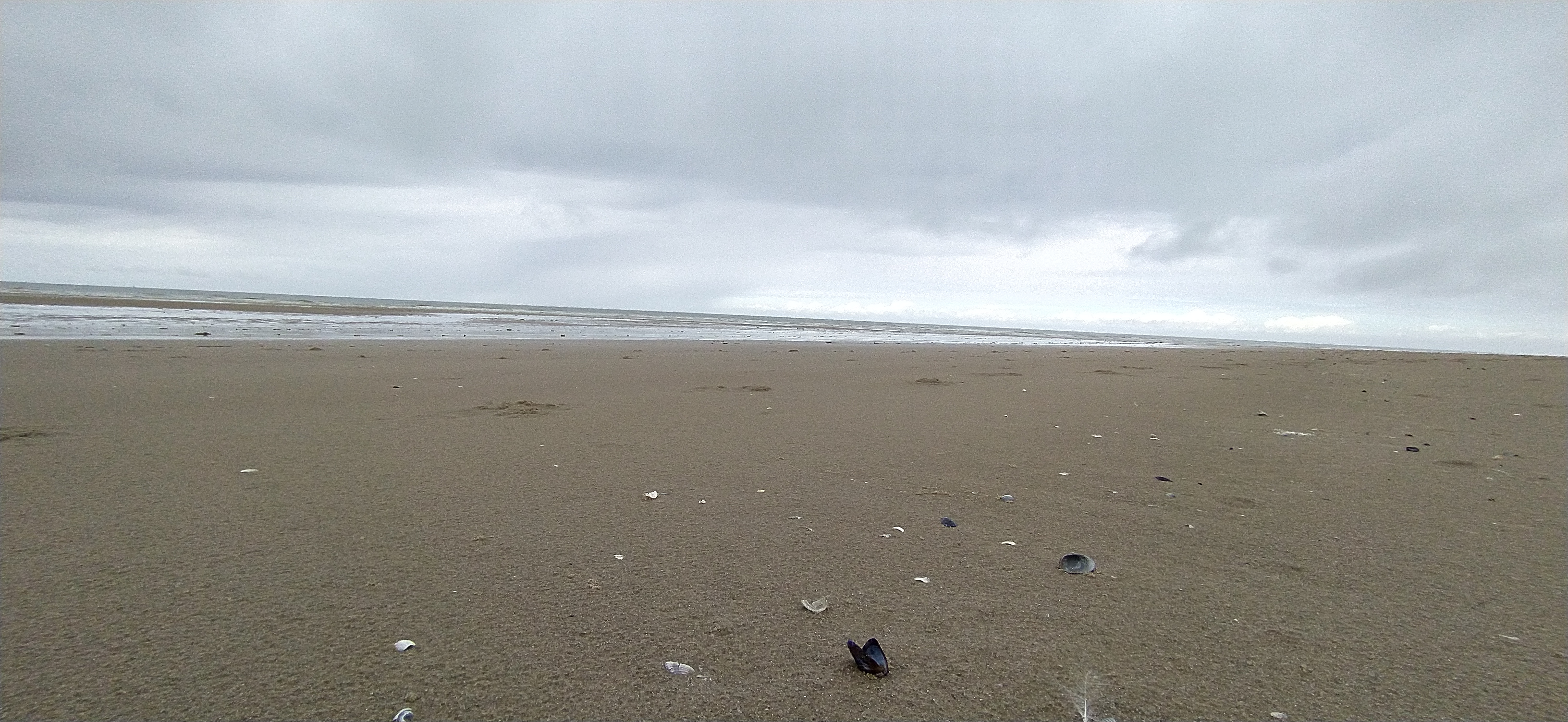 Photo n° 3 de l'avis de Jörg.l fait le 05/07/2021 à 17:35