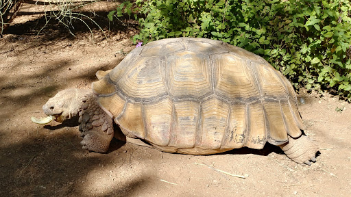 Wildlife Rescue Service «Southwest Wildlife Conservation Center», reviews and photos, 27026 N 156th St, Scottsdale, AZ 85262, USA