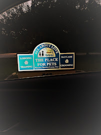 The Place for Pets - All About Love - Photo 2 - Car repair in Port Orange, FL, Deltona
