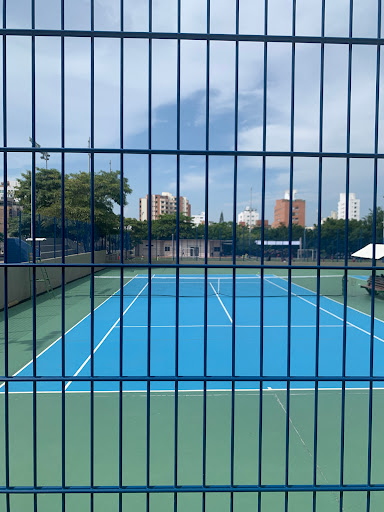 Canchas de Tenis (P. Bosques del Norte