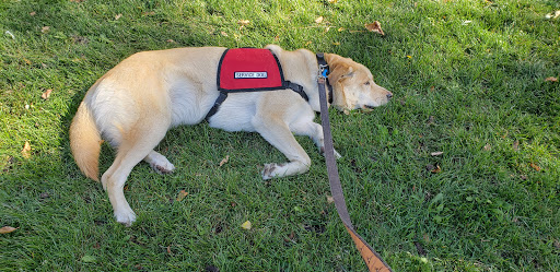 Park «Cranmer Park», reviews and photos, 4501 E 1st Ave, Denver, CO 80220, USA