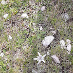 Photo n°4 de l'avis de Gianfranco.r fait le 15/02/2022 à 21:00 sur le  Alpenhotel Plaza 4s à St. Christina in Gröden