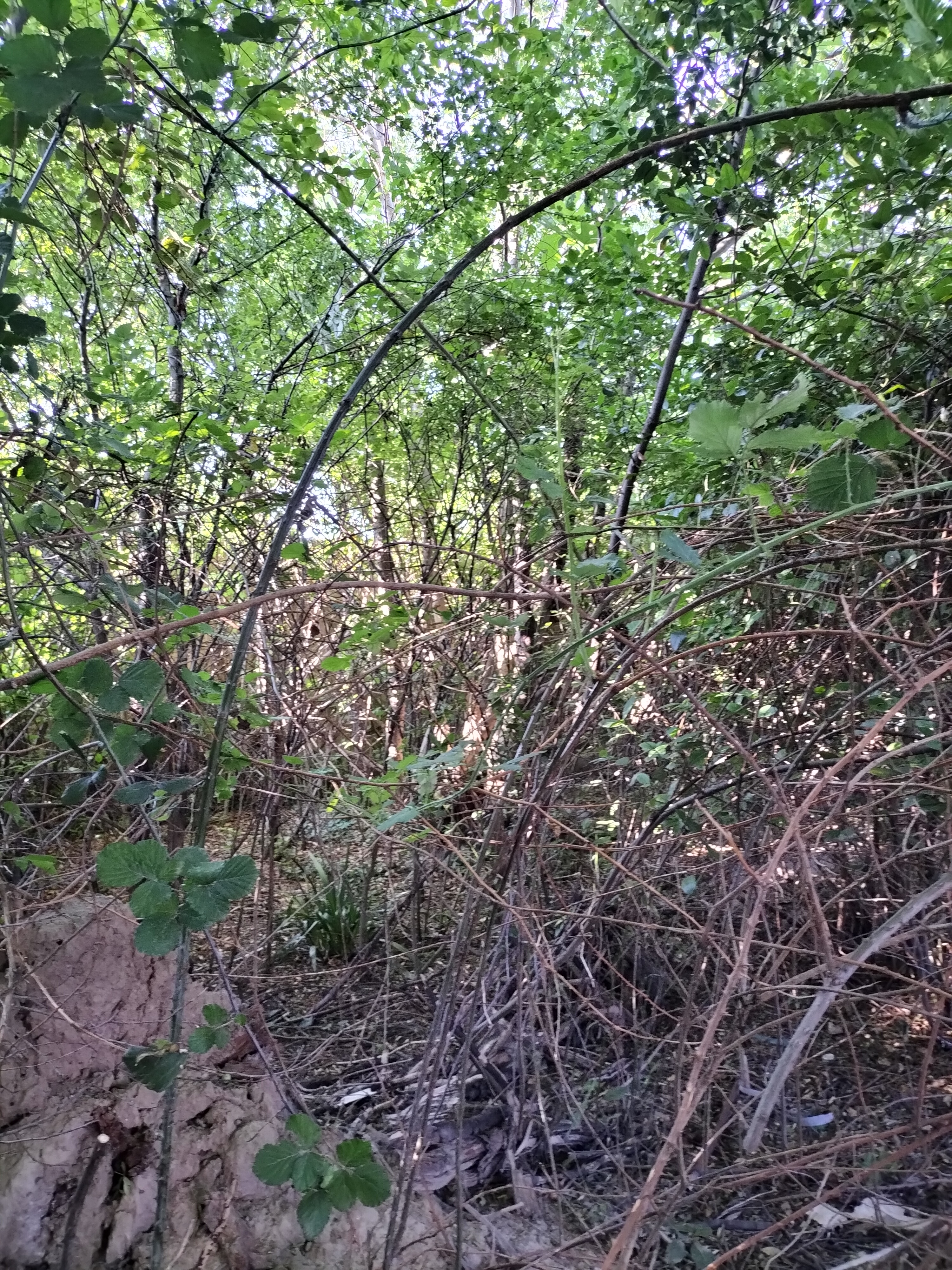 Photo n° 2 de l'avis de Véronique.e fait le 26/07/2023 à 04:42