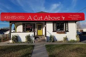 A Cut Above barber shop and a full service beauty salon image