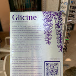 Photo n°3 de l'avis de Pablo.o fait le 10/07/2023 à 00:42 sur le  Albergo Villa Lucia à Bellaria - Igea Marina