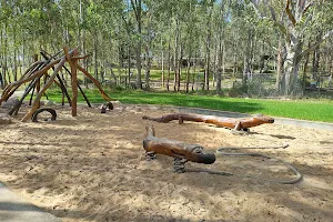 Lizard Log, Western Sydney Parklands image