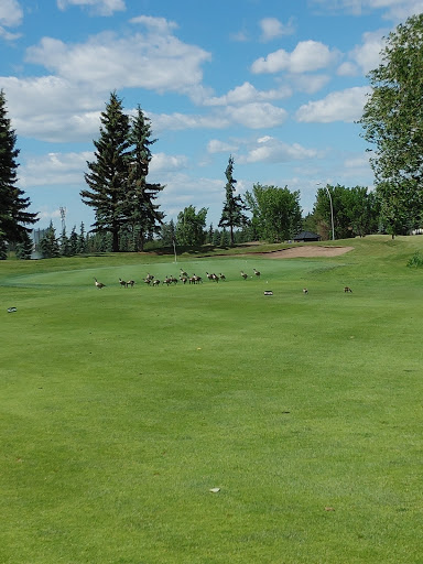 Mill Woods Golf Course