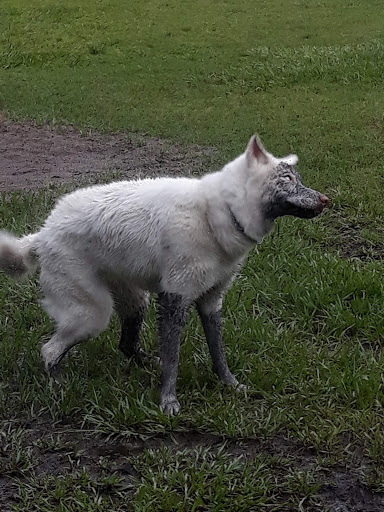 Park «Dr. P. Phillips Community Park», reviews and photos, 8249 Buenavista Woods Blvd, Orlando, FL 32836, USA