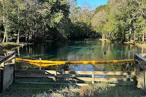 Ruth B. Kirby Gilchrist Blue Springs State Park image
