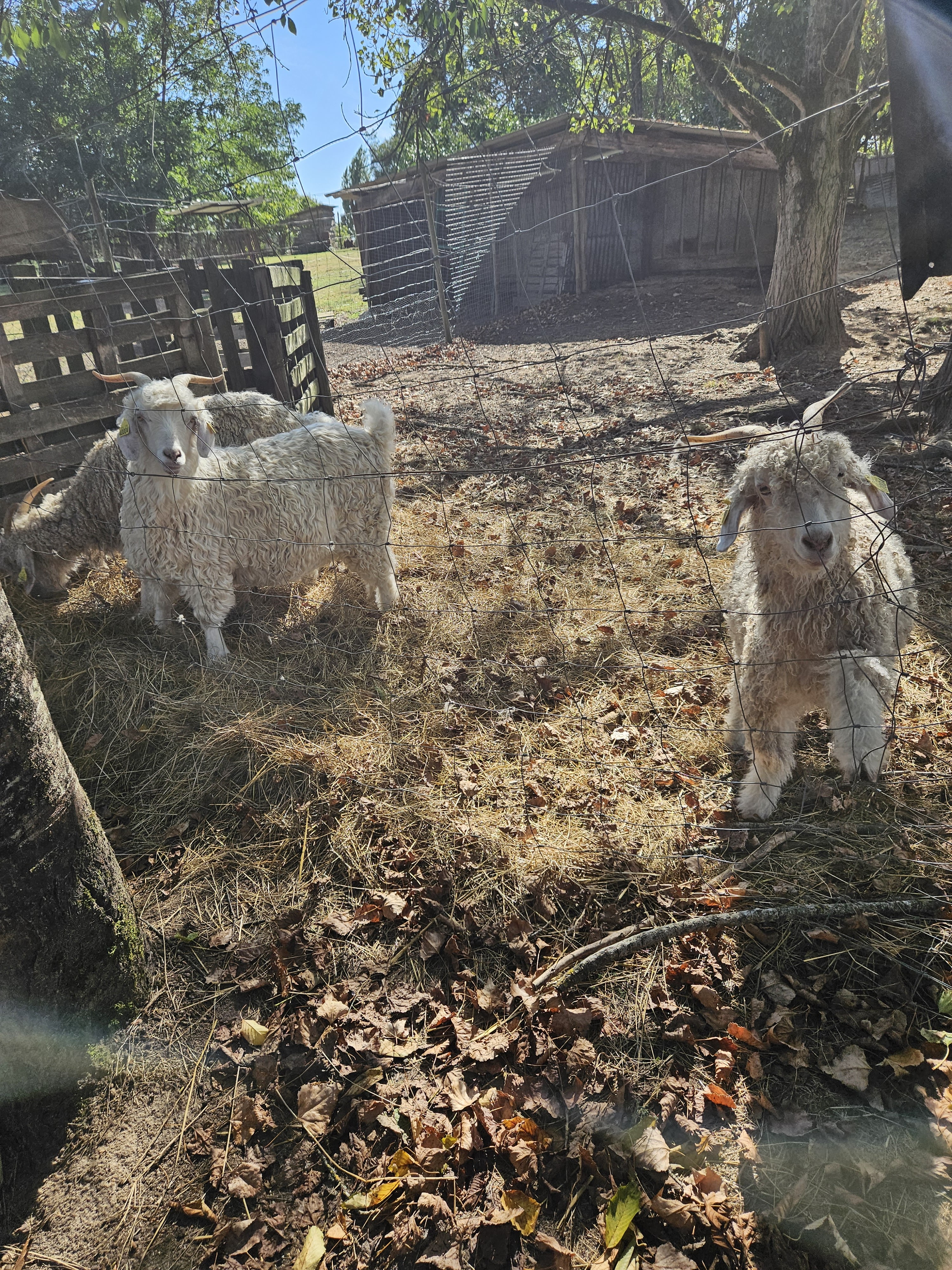 Photo n° 2 de l'avis de Emmanuelle.a fait le 22/09/2023 à 14:59