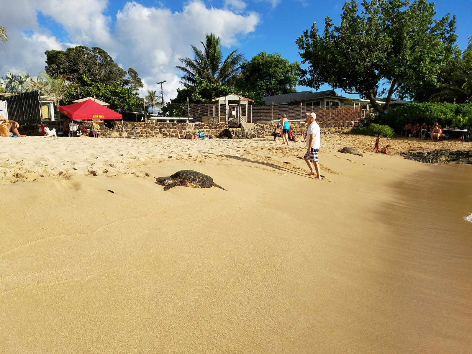Aki's Beach photo #9