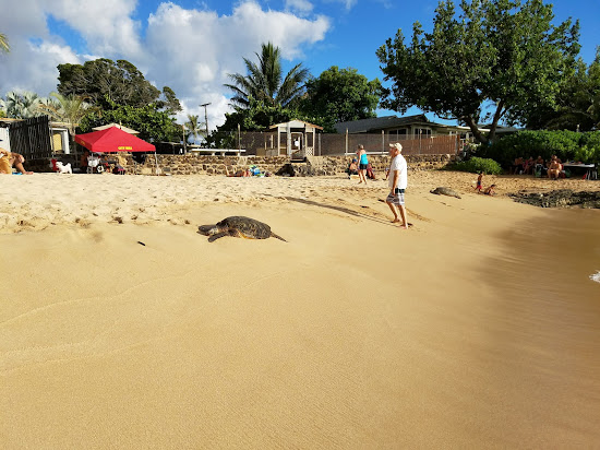 Aki's Beach