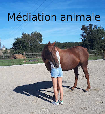 Educateur canin Fleurance - Médiation animale Gers à Réjaumont