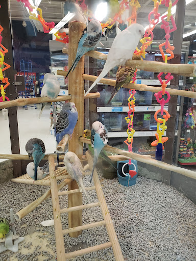 Pet Supply Store «Petco Animal Supplies», reviews and photos, 2723 Stroschein Rd, Monroeville, PA 15146, USA