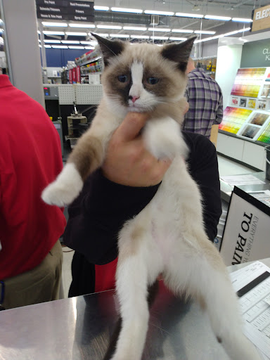 Hardware Store «Ace Hardware», reviews and photos, 9680 Foley Blvd NW, Coon Rapids, MN 55433, USA