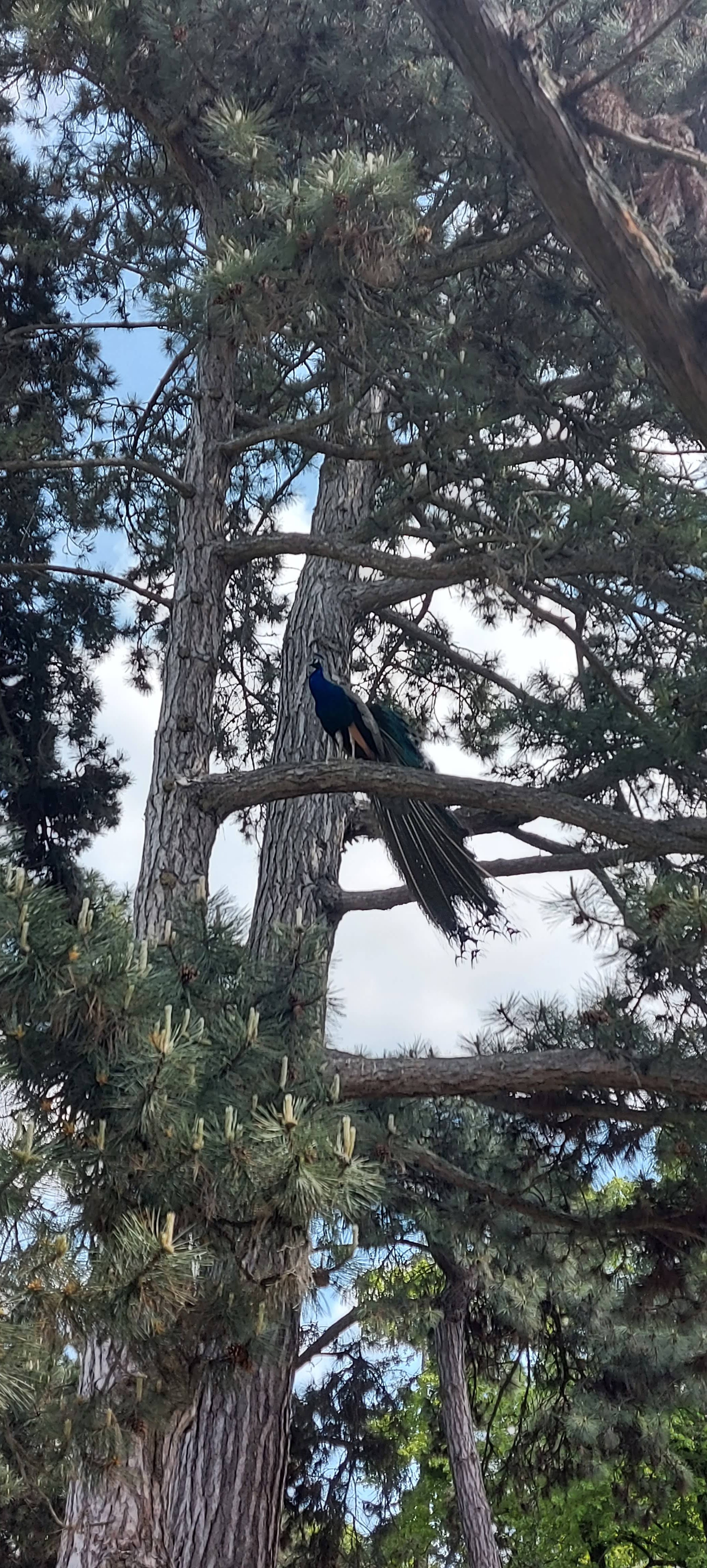 Photo n° 18 de l'avis de gwadilina.l fait le 12/05/2022 à 00:30