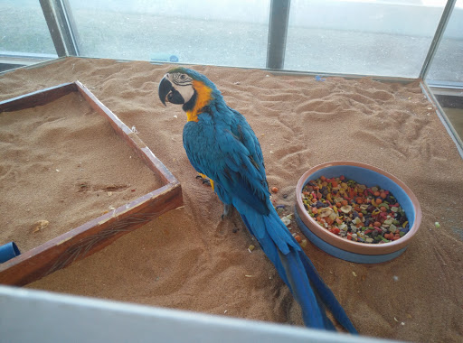 Pet Store «Lebanon Pet & Aquarium Center», reviews and photos, 196 S Main St, West Lebanon, NH 03784, USA