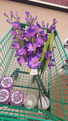 Dollar Store «Dollar Tree», reviews and photos, 791 Dallas Hwy #401, Waxahachie, TX 75165, USA