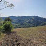 Photo n°4 de l'avis de Reinder.a fait le 31/07/2020 à 06:24 sur le  Camping Podere Sei Poorte à Monteciccardo