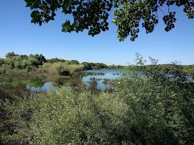 Reserva Natural do Paul do Boquilobo