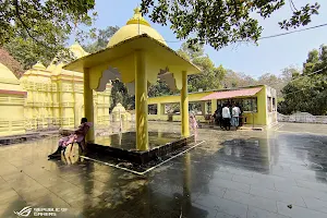 Nrusinghanath Temple image
