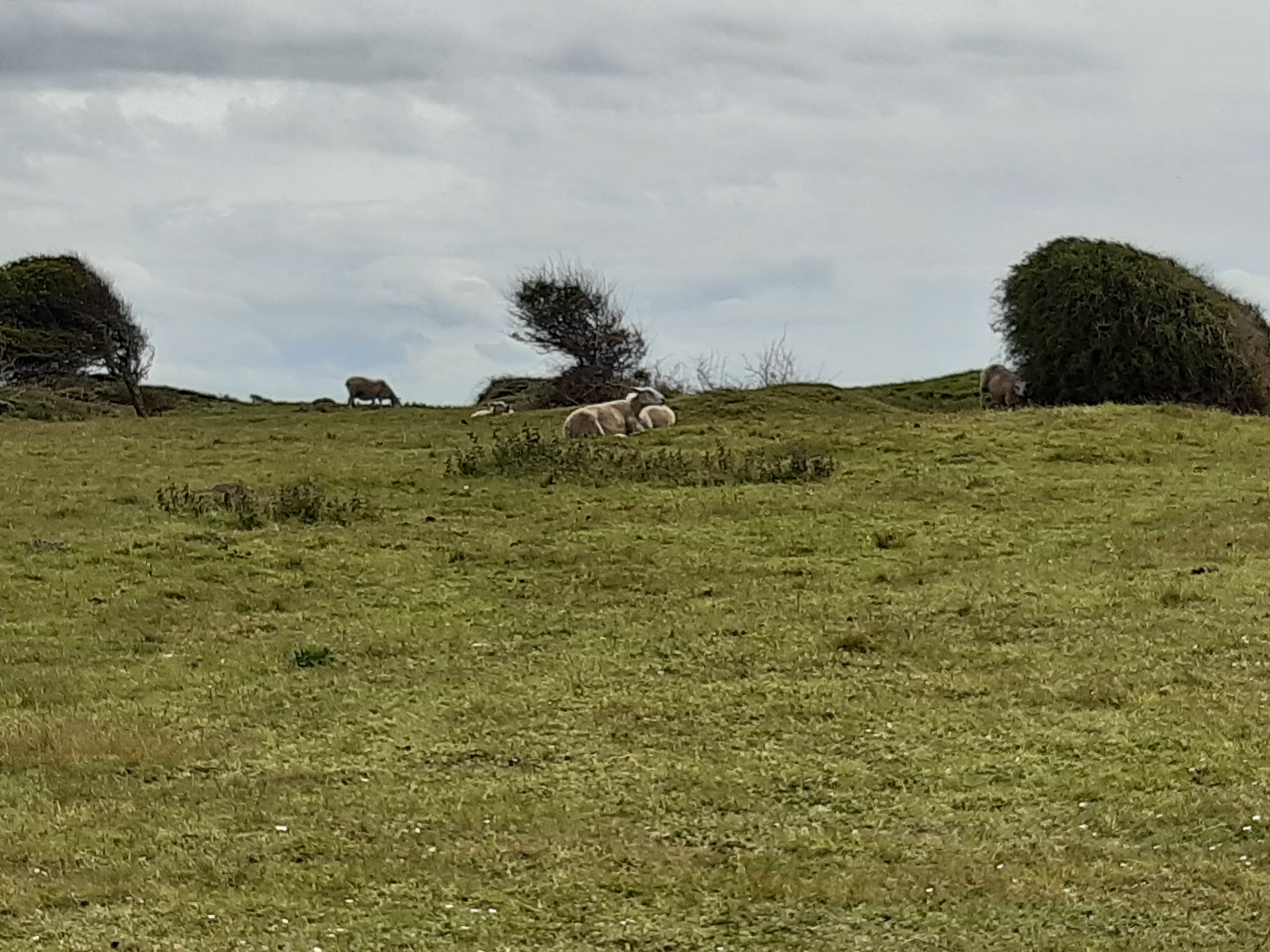 Photo n° 3 de l'avis de Frédérique.o fait le 28/05/2021 à 18:11
