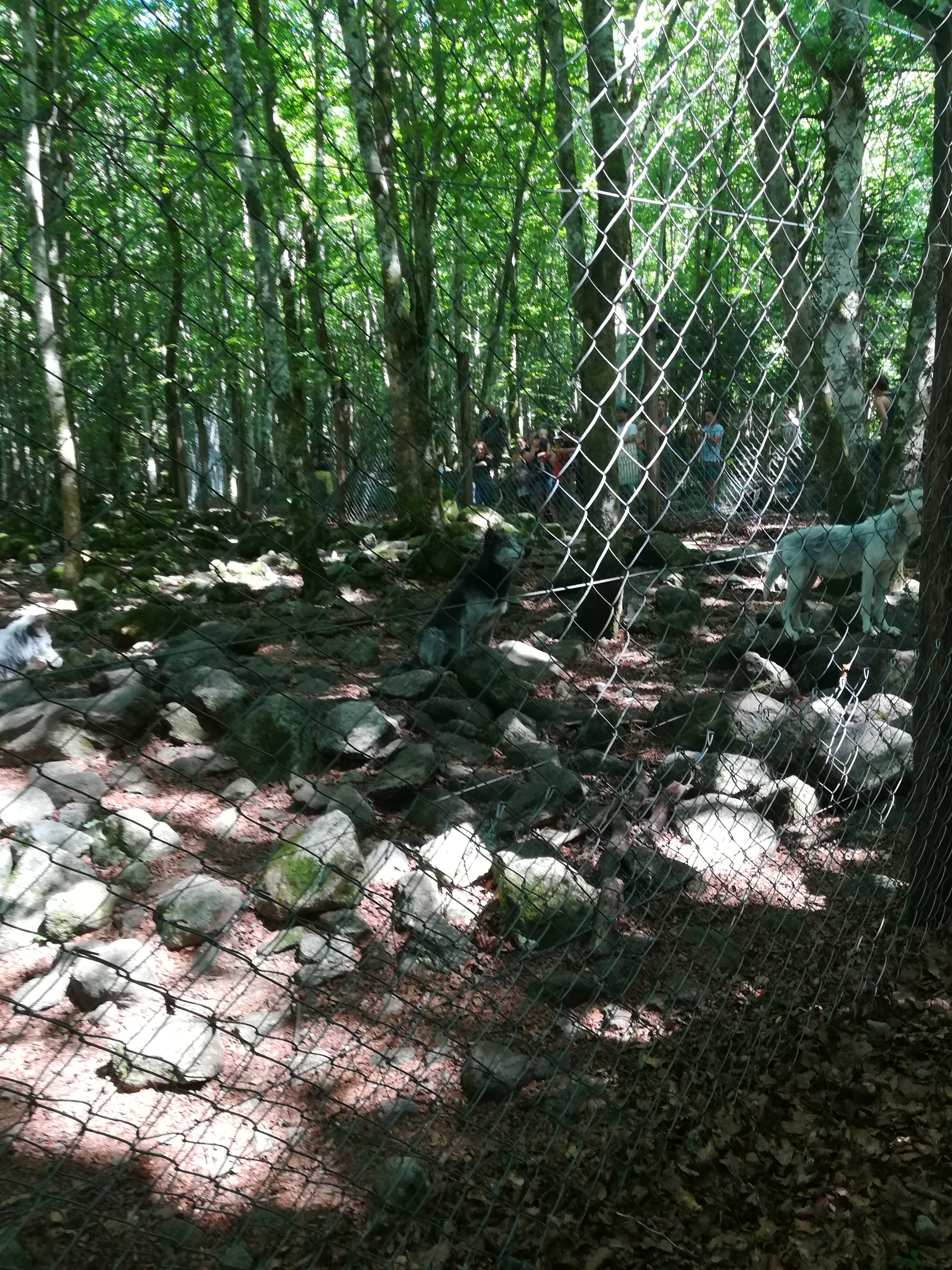 Photo n° 23 de l'avis de Audrey.� fait le 28/07/2017 à 17:11