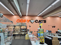 Copy Cats - Photo 2 - Car repair in Salem, OR, Salem