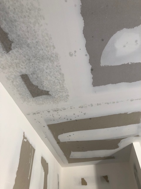 Photo n° 2 de l'avis de Audrey. fait le 16/04/2019 à 07:51