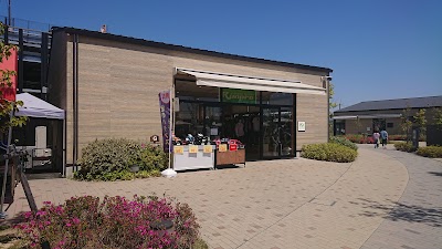 ランプロ