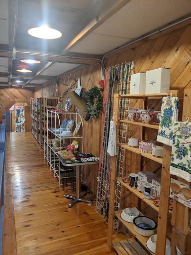 Gift Shop «Imagine Gift Store», reviews and photos, 5 Miller St, Warren, RI 02885, USA