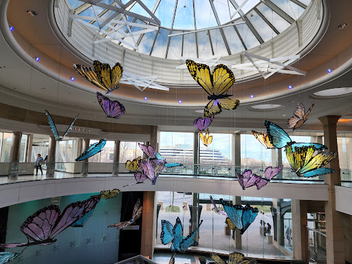 Shopping Mall «Somerset Collection», reviews and photos, 2800 W Big Beaver Rd, Troy, MI 48084, USA