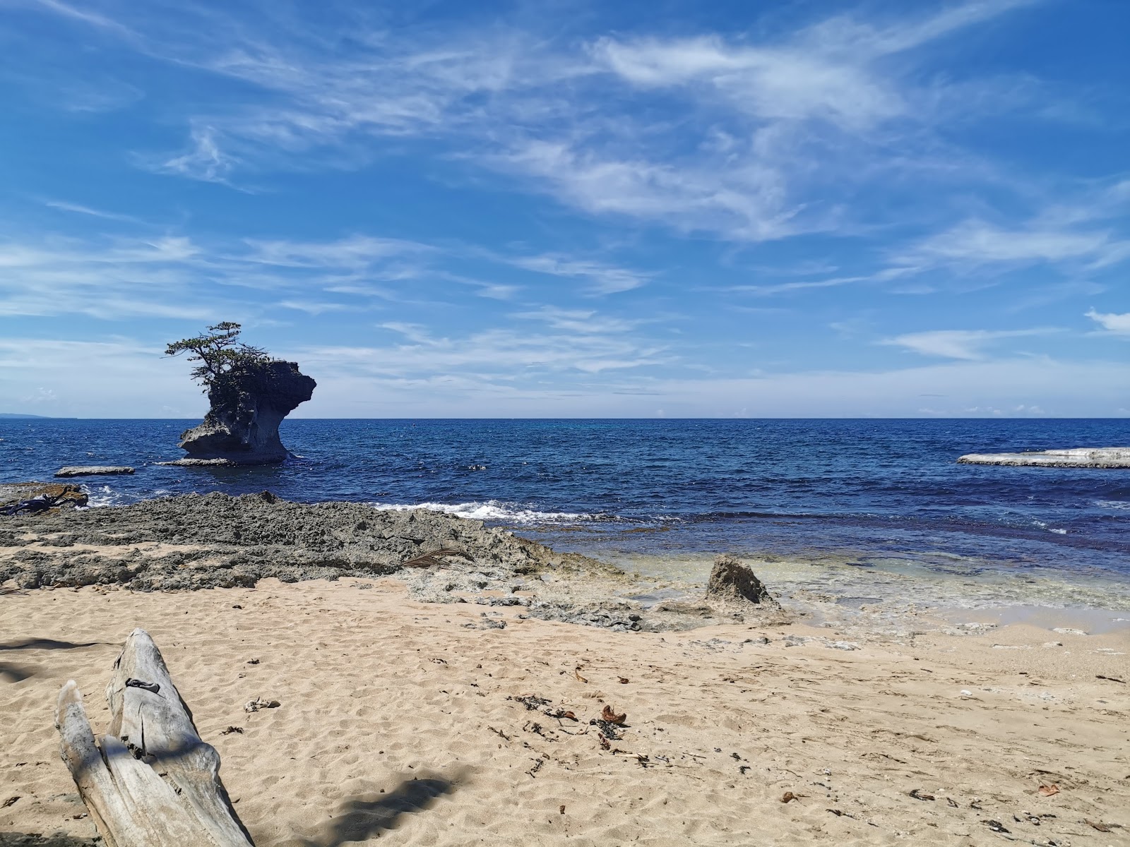 Punta de Vista beach'in fotoğrafı vahşi alan