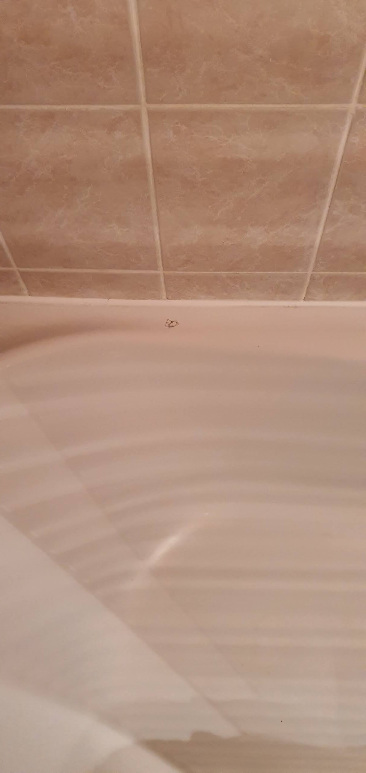 Photo n° 10 de l'avis de Romain.a fait le 22/06/2020 à 08:43