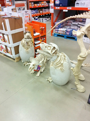 Home Improvement Store «The Home Depot», reviews and photos, 2551 S Interstate Hwy 35, Round Rock, TX 78664, USA