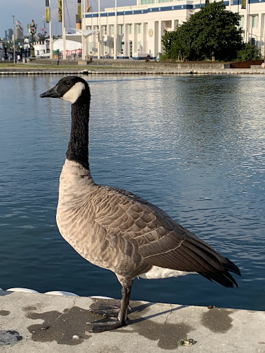 History Museum «Museum of History & Industry (MOHAI)», reviews and photos, 860 Terry Ave N, Seattle, WA 98109, USA