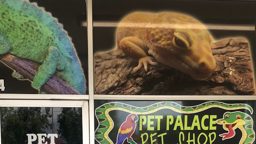 Reptile Store «Pet Palace», reviews and photos, 1442 N Hollenbeck Ave, Covina, CA 91722, USA