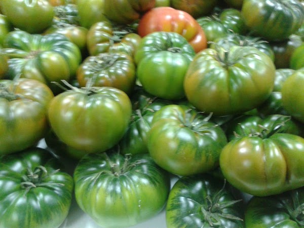 RAMBLA LECHUGA