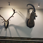 Photo n°3 de l'avis de DarkwarriorsAndorra. fait le 05/08/2017 à 21:57 sur le  O Loureiro à Mirandela