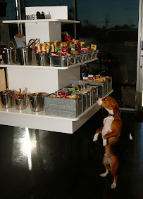 Fetch Natural Pet Market - Photo 6 - Car repair in Phoenix, AZ, Phoenix