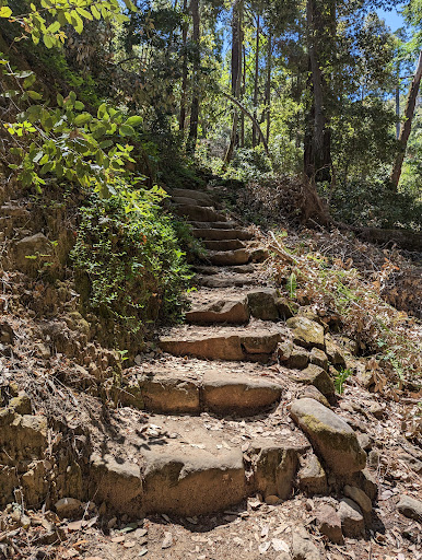 Uvas Canyon County Park image