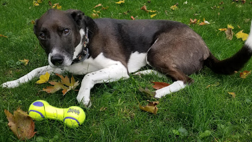 590 Hicksville Rd, Bethpage, NY 11714, USA