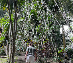 Tarnim Magic Garden photo