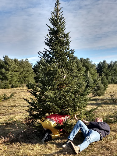 Good's Christmas Tree Farm