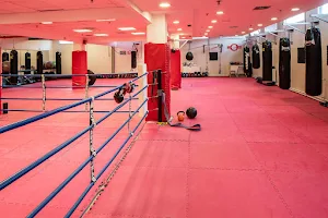 KLUB CENTER: kickboxing, boks, fitboks, tajski boks, MMA, brazilski ju-jitsu image